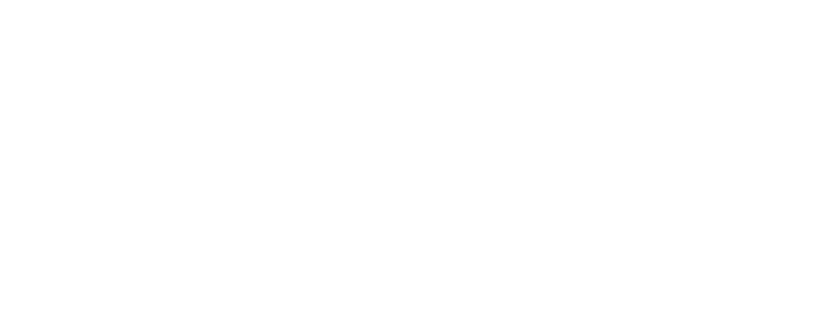 Item 8